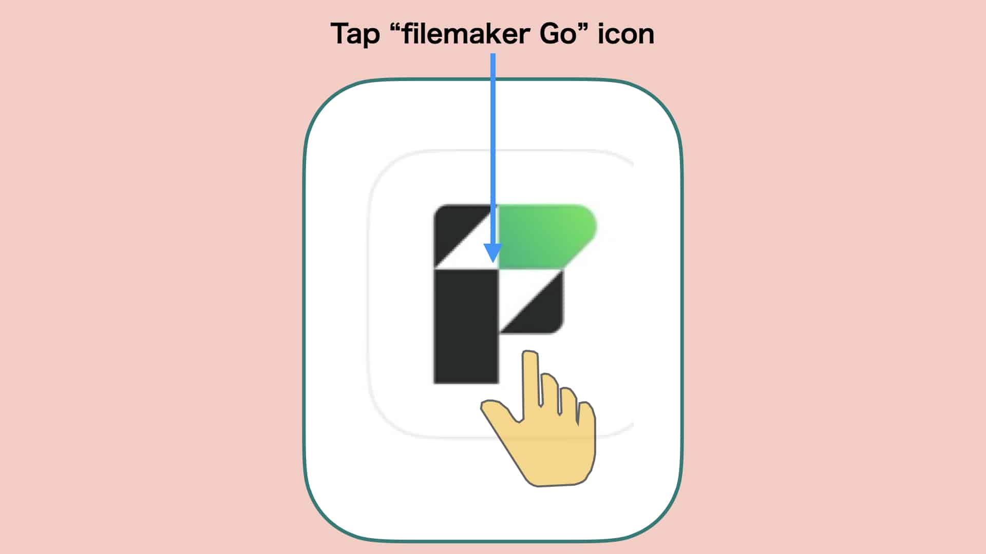 FileMaker Go ページ