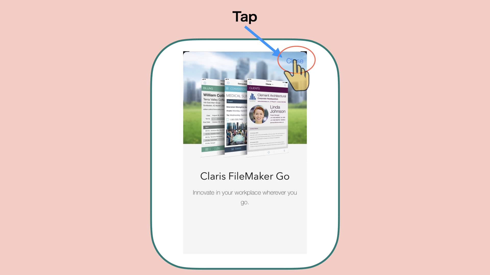 FileMaker Go ページ