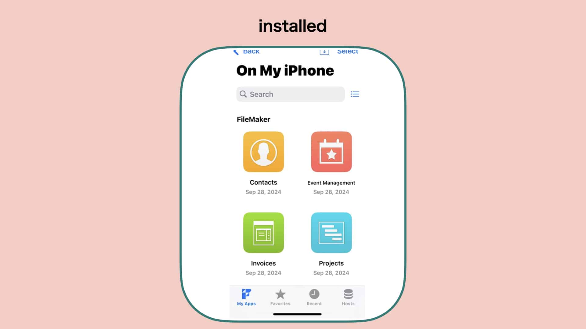 FileMaker Go ページ